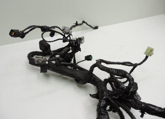 Kabelboom Kawasaki ER 6