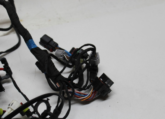 Kabelboom Aprilia RS 660