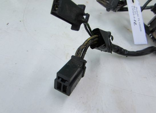 Dynamo Suzuki TL 1000