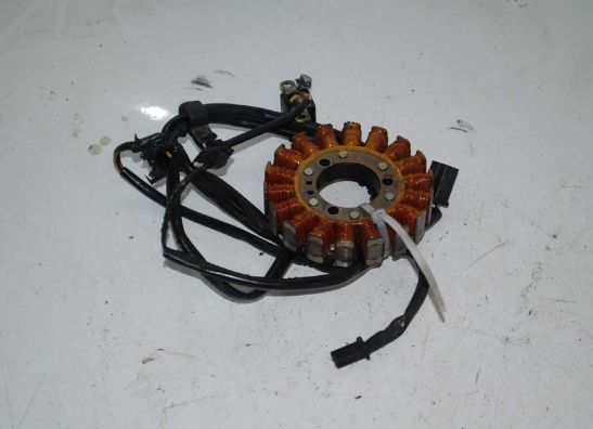 Dynamo Kawasaki ZZR 250