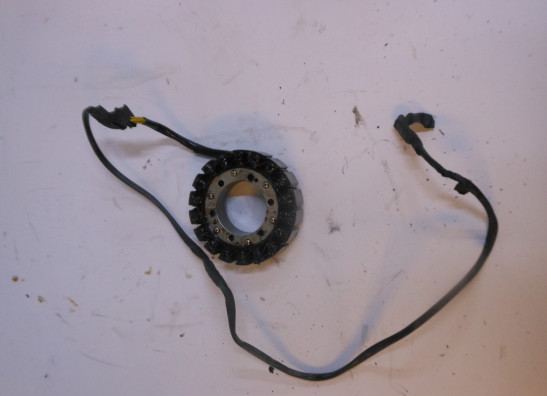 Dynamo Aprilia Caponord 1000