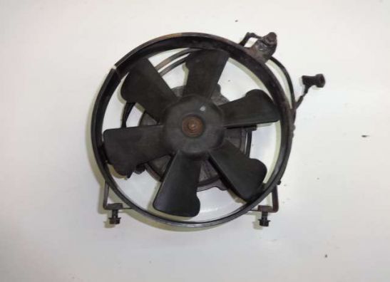 Fan Honda TRANSALP
