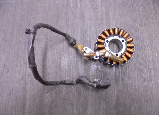 Dynamo BMW G 310 R 2017-2020