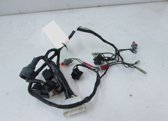 Kabelboom voor Yamaha YZF R6