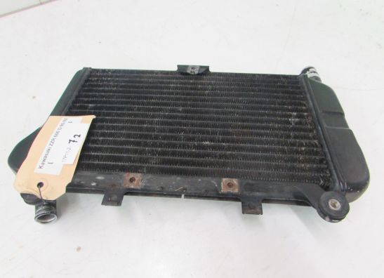 Radiator Kawasaki ZZR 600