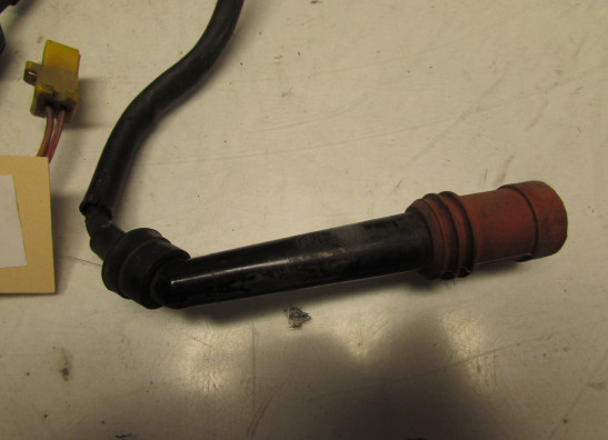 Ignition Coil Yamaha V max