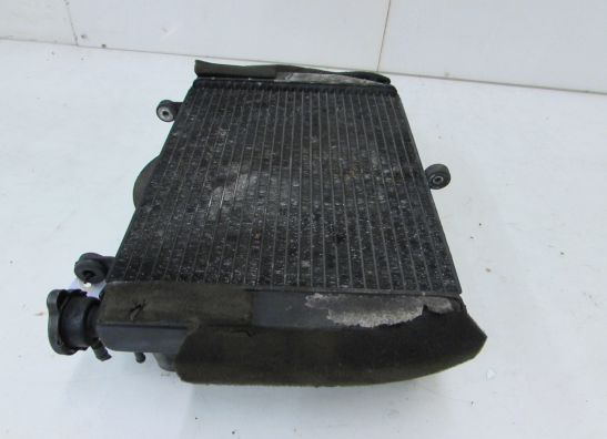 Radiator Yamaha YZF R6