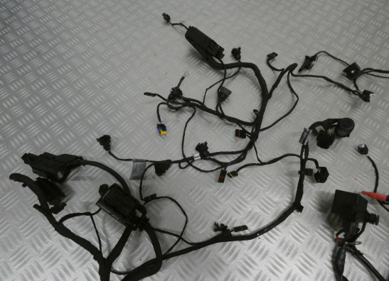 Kabelboom BMW F 800 GT