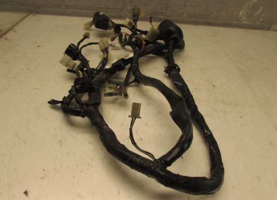 Kabelboom Yamaha YZF 600 Thundercat