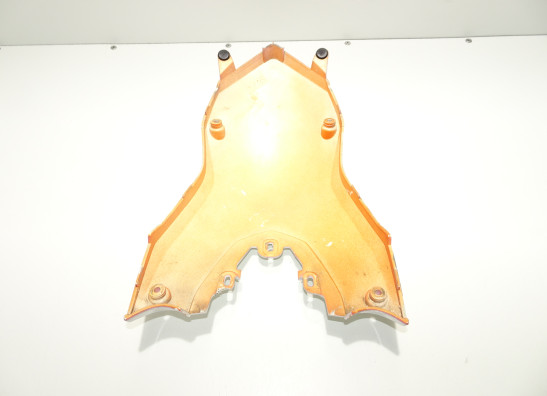 Tankschutz BMW F 650 GS