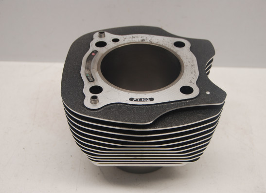 Cilinderblok Harley Davidson Softtail