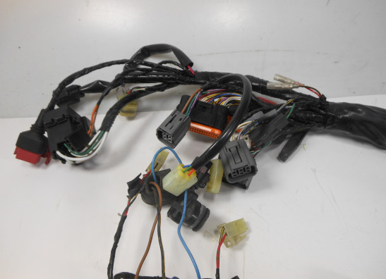 Kabelbaum Kawasaki Z 750