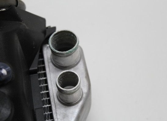 Radiateur Honda CRF 1100 Africa Twin