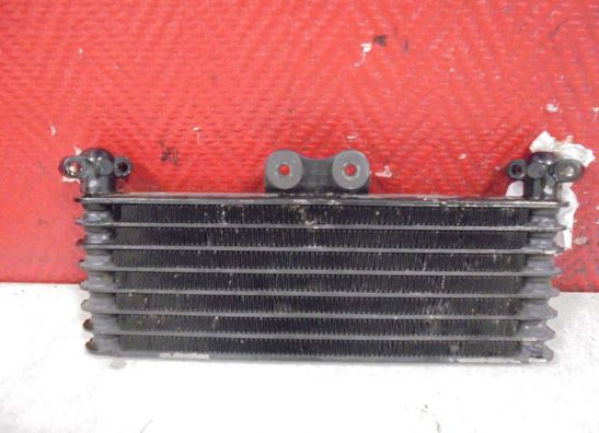 Olkuhler Honda CBR 1100 XX