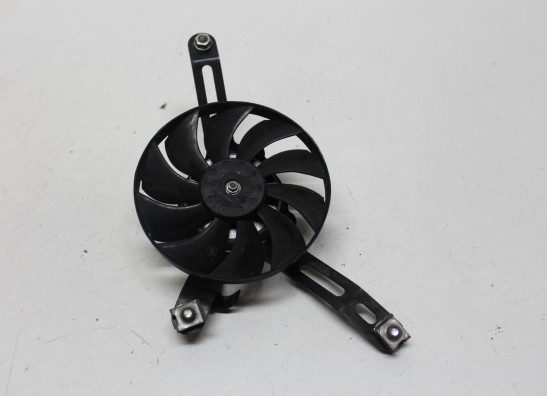 Fan Honda X-adventure 750