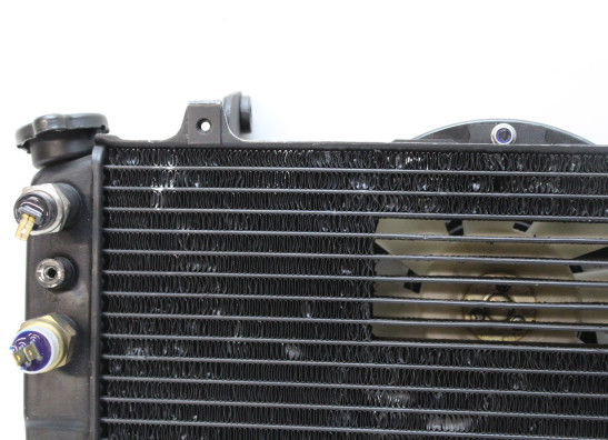 Radiateur Yamaha FZR 750 R OWO1