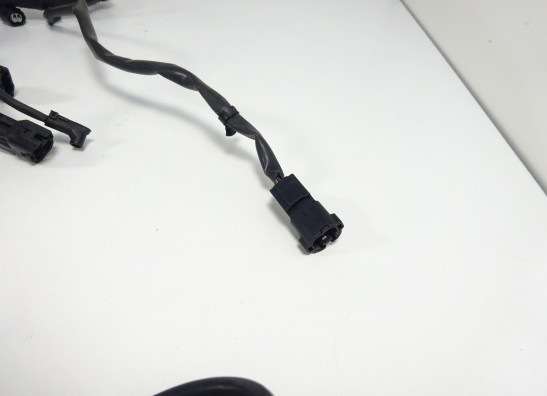 Wire Harness Kawasaki ER 6