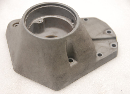 Motorblokdeksel Harley Davidson Softtail