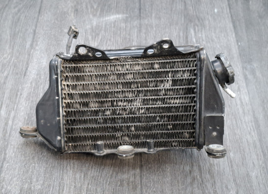 Radiateur Kawasaki KLX 650