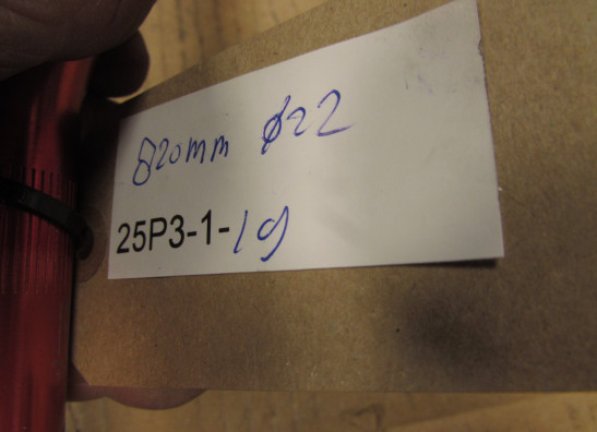 Steer Overig Onbekend Unknown