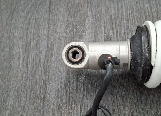 Stossdampfer hinten BMW R 1200 RT