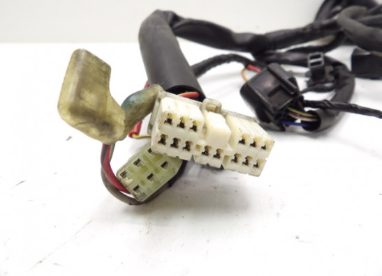 Kabelbaum Yamaha FAZER 1000