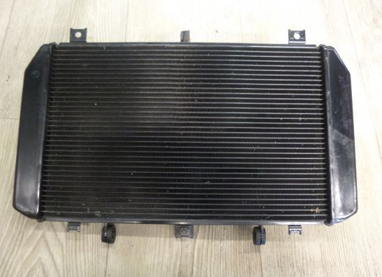 Radiateur Kawasaki Z 1000