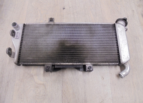 Kuhler Kawasaki ER 6