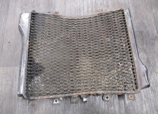 Radiator Kawasaki ZZR 1100