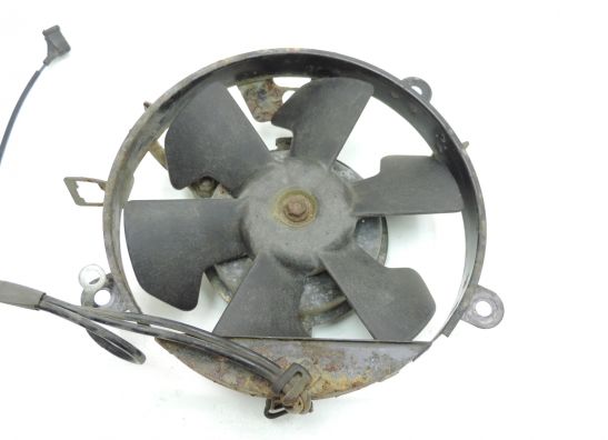 Fan Honda CBR 600 F