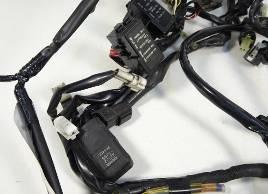Wire Harness Kawasaki VERSYS 1000