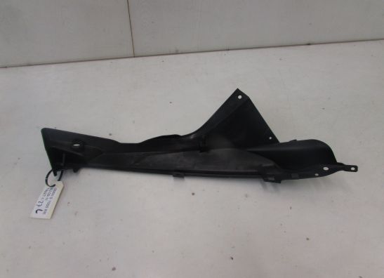 Seitenverkleidung links klein BMW S 1000 RR