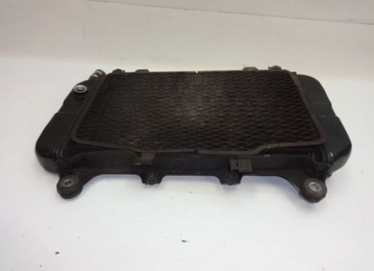 Kuhler Kawasaki ZZR 600