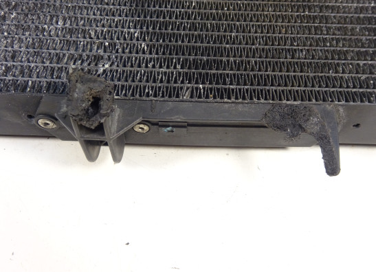 Kuhler BMW F 800 S - ST