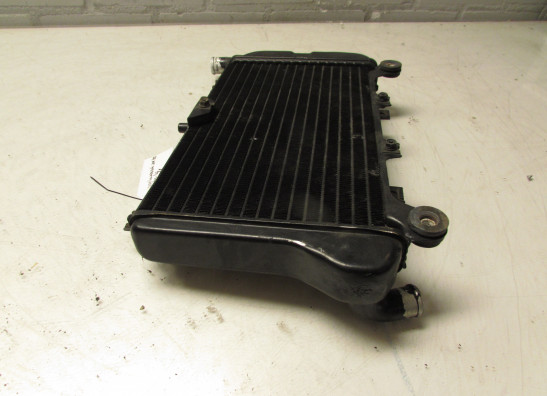Radiator Kawasaki ZZR 600