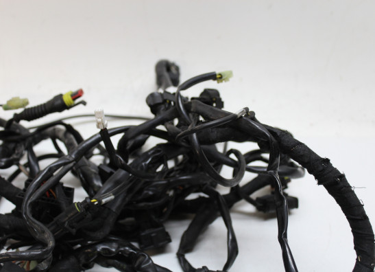 Wire Harness Ducati Multistrada 1200