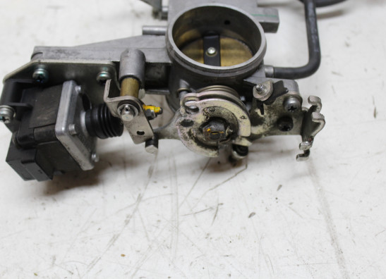 Einspritzanlage Triumph Tiger 1050