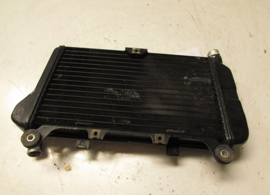 Kuhler Kawasaki ZZR 600