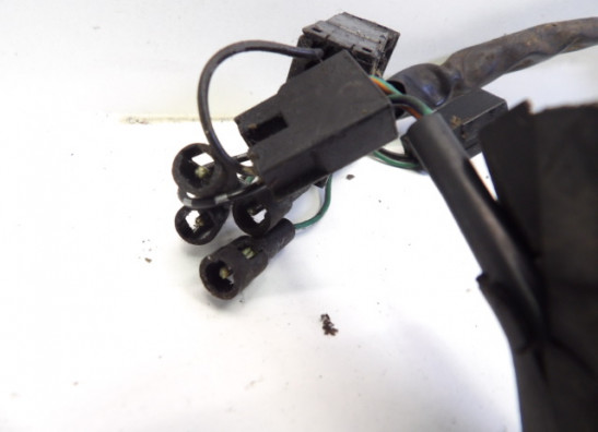 Kabelbaum Triumph Sprint RS