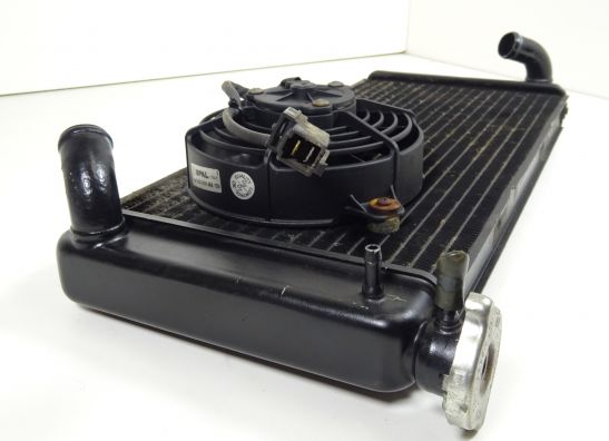 Radiator Aprilia Caponord 1000
