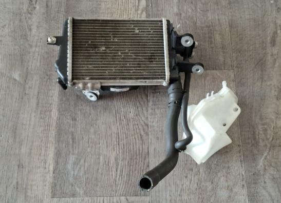 Radiador BMW R 1200 GS LC
