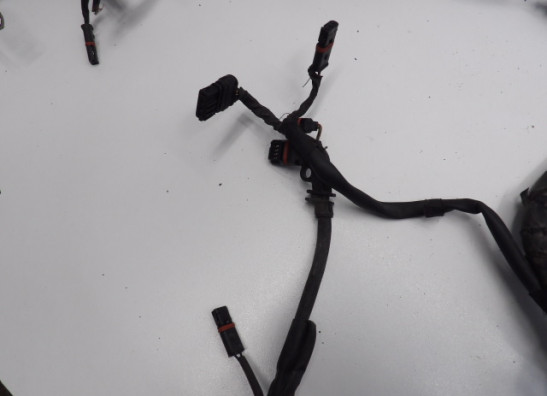 Kabelboom BMW R 1200 GS