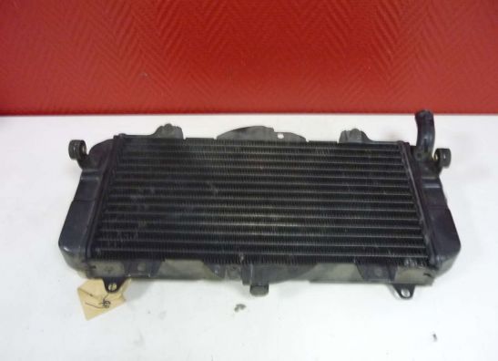 Radiateur Yamaha FZR 600