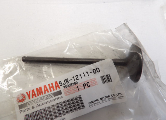 Zylinderkopf Yamaha FJR 1300