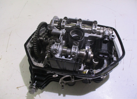 Cilinderkop BMW R 1250 RS