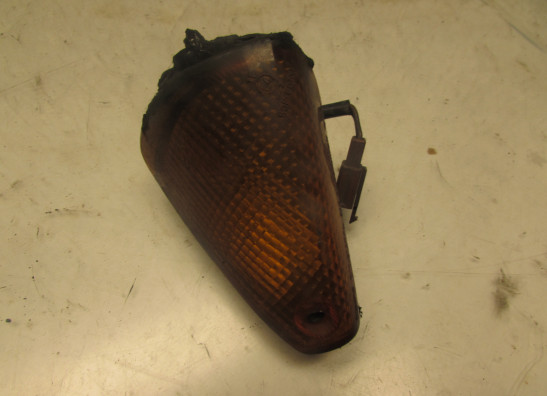 Blinker Yamaha FJ 1200