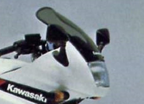 Kuipruit Kawasaki GPZ 500