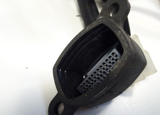 Wire Harness Yamaha MT 09