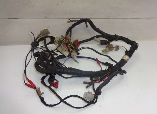 Wire Harness Kawasaki GPZ 900