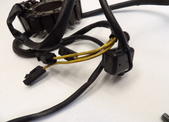 Dynamo Suzuki VS 800 Intruder